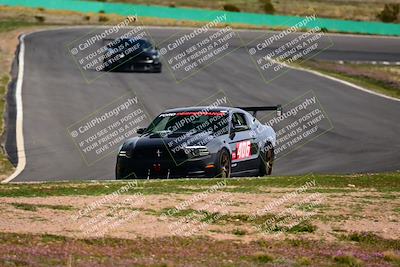 media/Feb-25-2024-Speed Ventures (Sun) [[b9a2a97a4d]]/Mustang Drivers Club/Session 3 (Turn 2)/